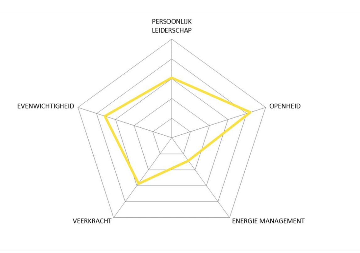 Voorbeeld van een persoonlijk breinprofiel met vijf assen: persoonlijk leiderschap, openheid, energiemanagement, veerkracht en evenwichtigheid